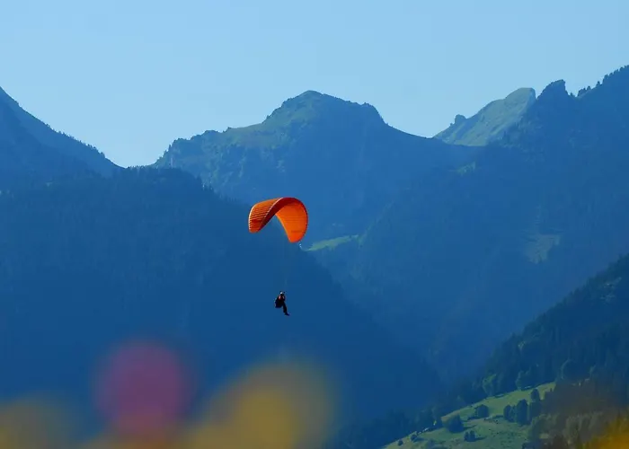 Chalet Pétérets
